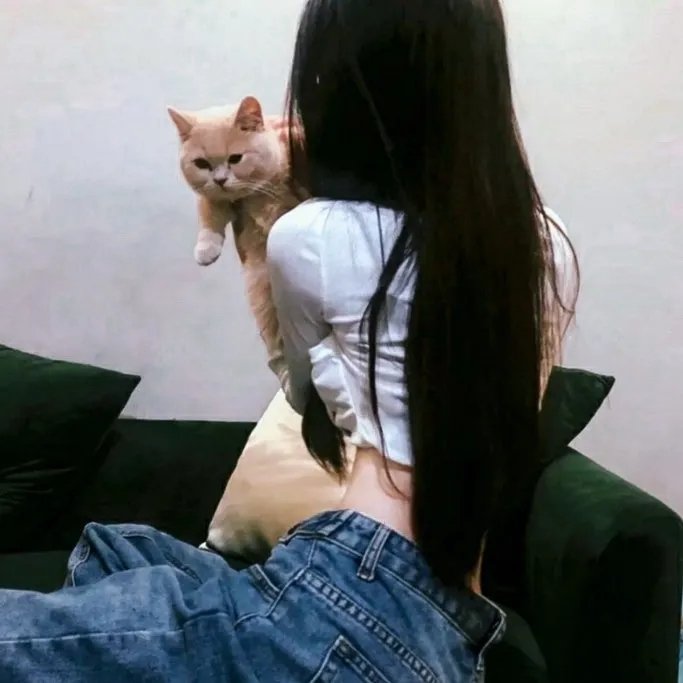 大坏狼